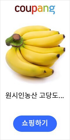 원시인농산 고당도 정품 돌바나나 3kg내 2송이 / 수입과일 과일, 1개