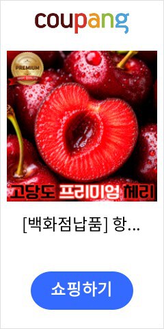 [백화점납품] 항공직송 프리미엄 고당도 체리, 1세트, 250g