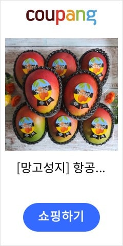 [망고성지] 항공직송 고당도 애플망고 선물세트 당도선별, 1박스, 항공직송 애플망고 2-3과 (1KG내외)