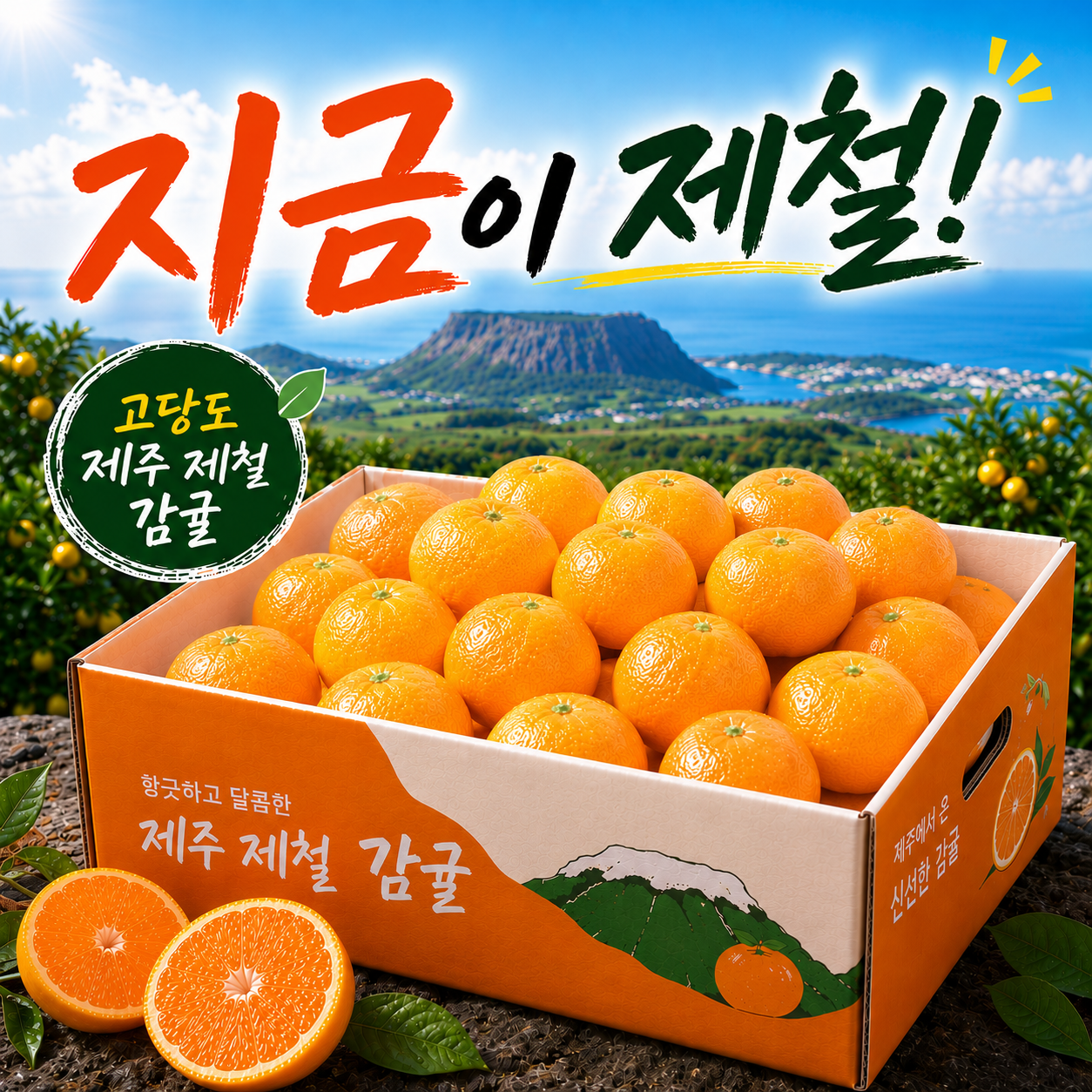 [2만리뷰]산지직송 고당도 천하일품 서귀포 제철 감귤, 1박스, 5kg 대과