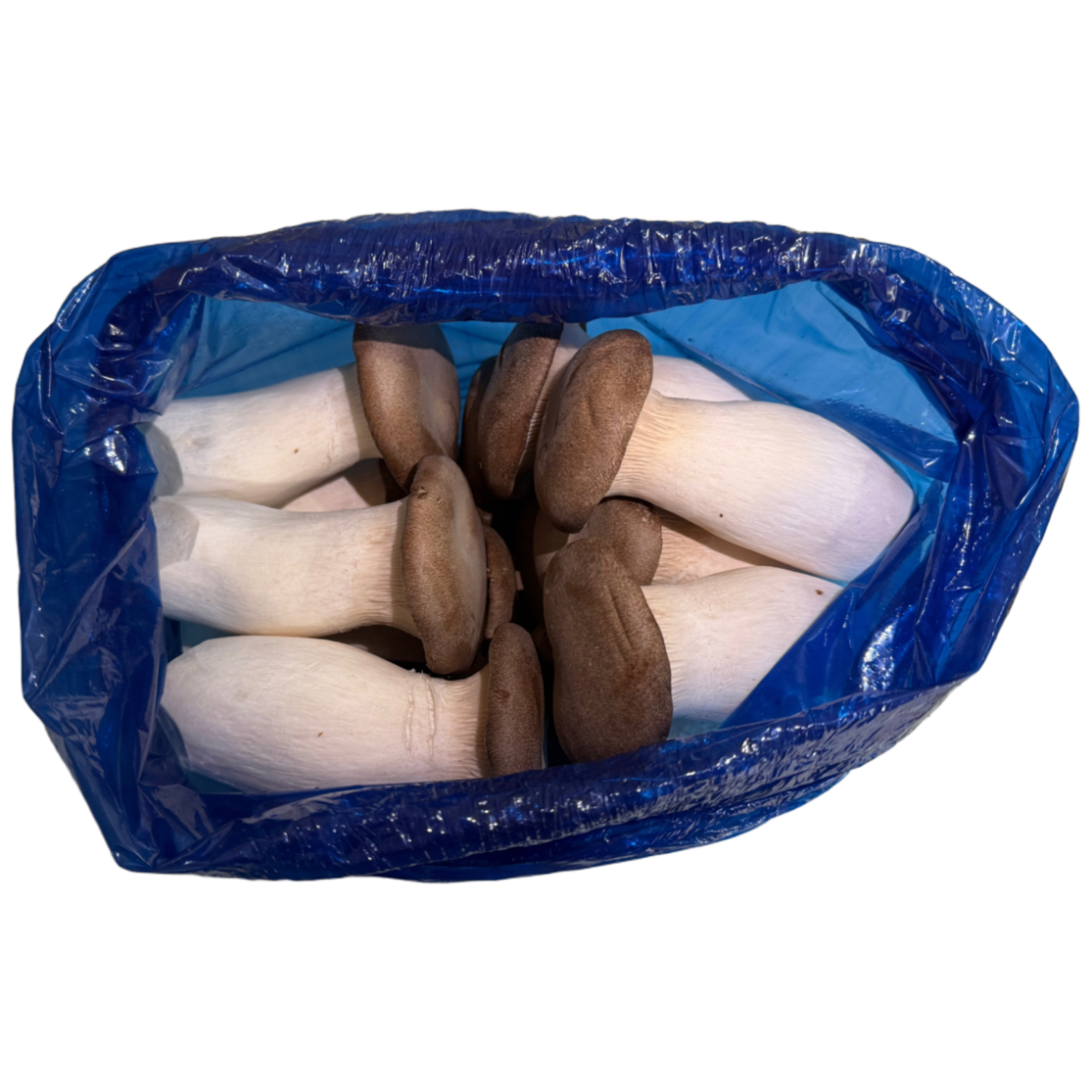 장마철 건강 밥상 필수! 활용도 높은 버섯 4종 비교 - 꿉꿉함 날리는 식탁